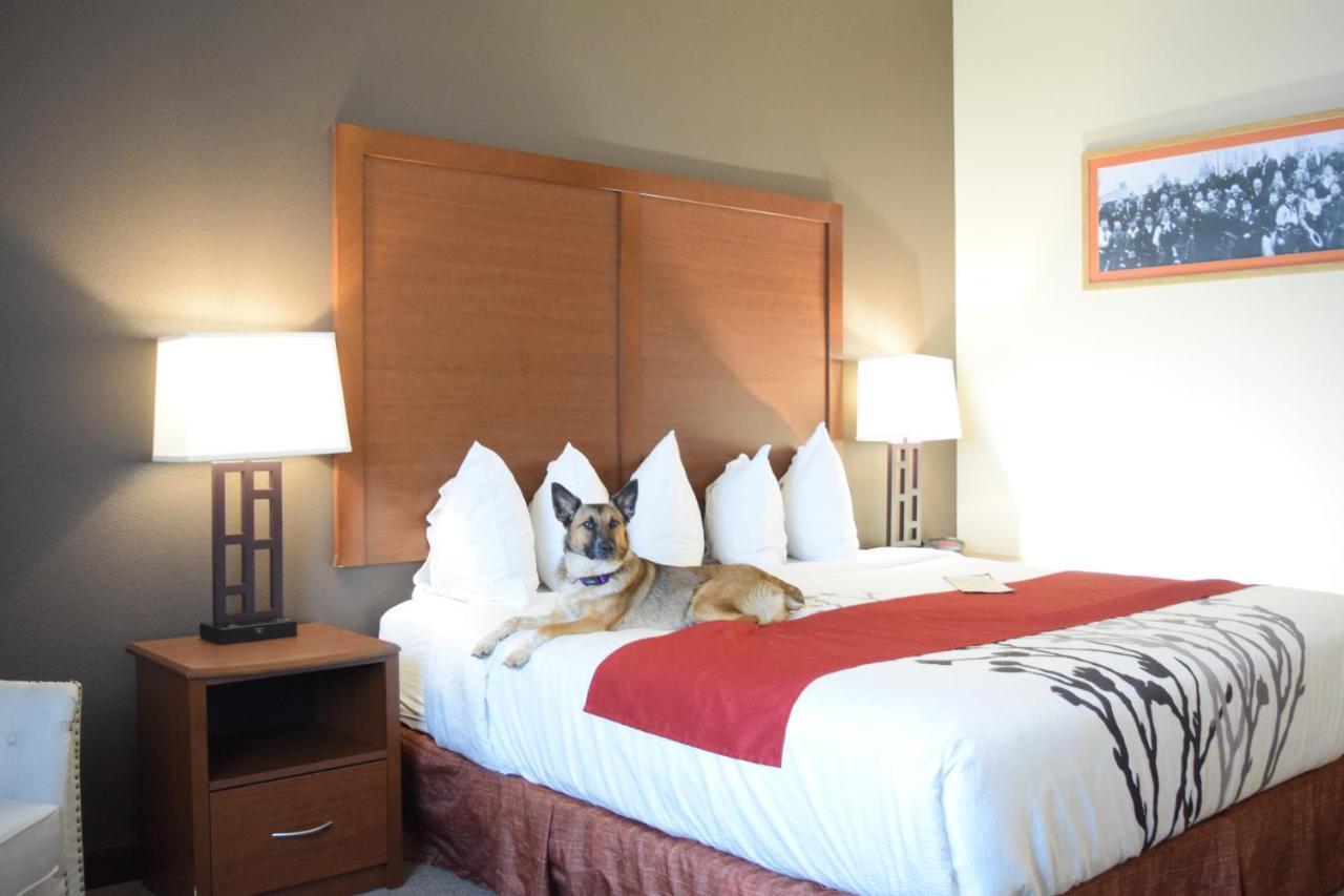 Newcastle Lodge & Convention Center Luaran gambar